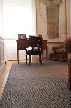 Load image into Gallery viewer, Staple Lines Rug - Blue and White